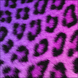 GO SMS Girly Cheetah Theme icon