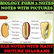 BIOLOGY FORM 3 NOTES +DIAGRAM ILLUSTRATIONS (KCSE)