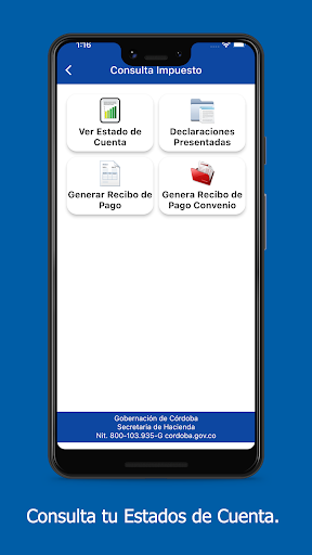 Impuestos Cordoba Screen 3