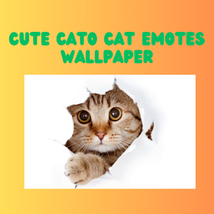 cute caty cat emotes wallpaper
