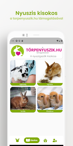 Bunnee Screen 3