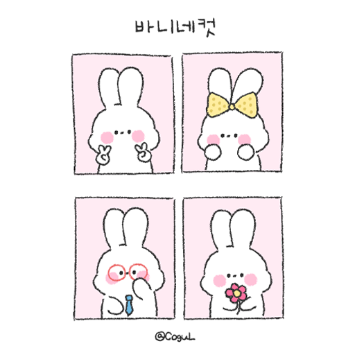 카카오톡 테마 - 바니네컷_화이트 핑크 logo