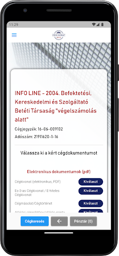 Cegkivonatmost Screen 3