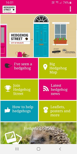 Android application Hedgehog Street screenshort