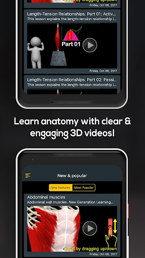 Screenshot of Anatomy by Muscle & Motion