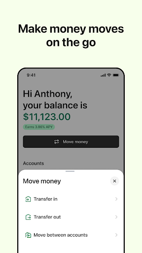 Screenshot of Shopify Balance