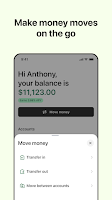 screenshot of Shopify Balance