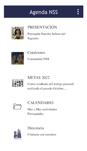 Agenda NSS Screen 2