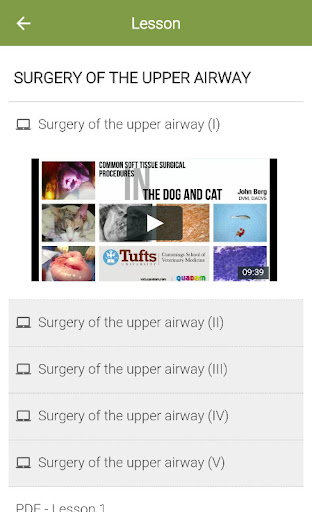 Quadam Mobile Screenshot