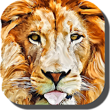 Lion Wallpapers  -  Animal Pics icon