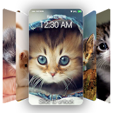 Cute Cat Wallpaper & Lock Screen QHD icon