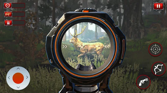 Animal Shooting Wild Hunting