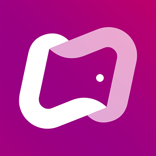Npaye logo