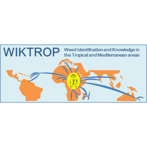 WIKTROP logo