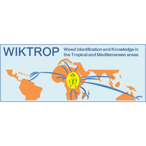 WIKTROP  Icon