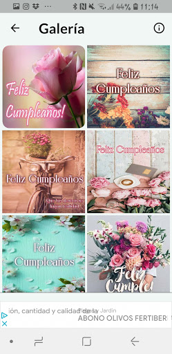 FLORES PARA LOS CUMPLEAÑOS