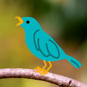 Bird Sounds - Nature Bird Calls & Ringtones