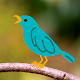 Bird Sounds - Nature Bird Calls & Ringtones Download on Windows
