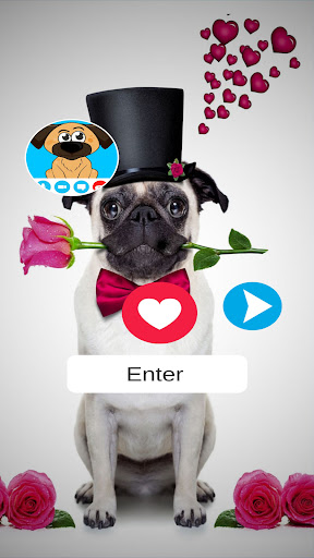Android application Fake Call Video Dog screenshort