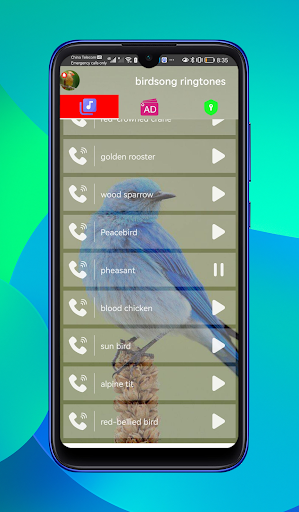 Birds Sounds Ringtones