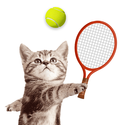 Cat Meow Tennis: Sport Battle