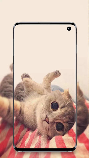 cute animals wallpaper Screen 2
