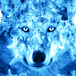 Cover Image of Download Ice Fire Wolf Wallpaper  APK