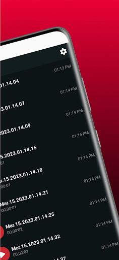 Defense Recorder Screen 3