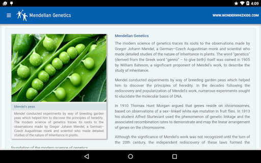 Mendelian Genetics Screen 2