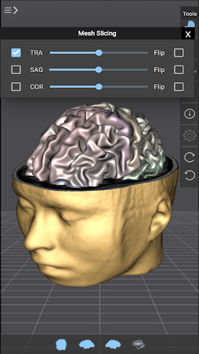 Android application Brain Tutor 3D screenshort