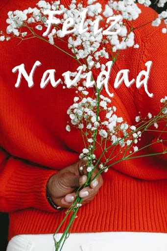 Mensajes de Feliz Navidad Screen 3