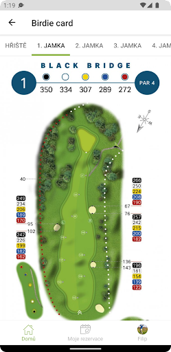 Black Bridge Golf Resort Screen 3