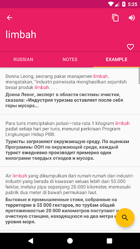 Indonesian Russian Dictionary Screen 3