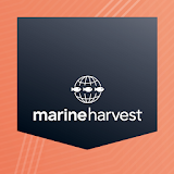 Marine Harvest HSEQ icon
