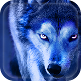 Applock Theme Wolf Night icon