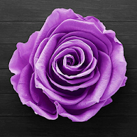 Фиолетовая “роза 3d” Живые Обои
