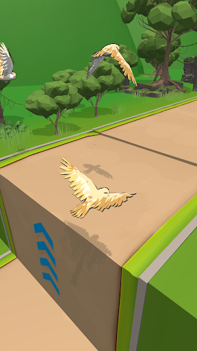 Animal Race-Flying Zoo