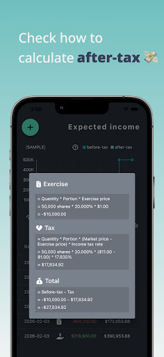 Employee Stock Option Calc. Screen 2
