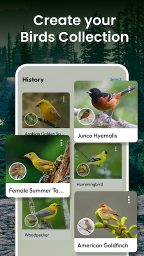 Bird Identifier Bird Watching