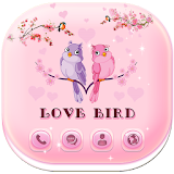 Love Bird icon