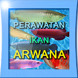 Perawatan Ikan Arwana icon