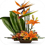 Modern Flowers Arrangement icon