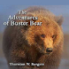 Adventures of Buster Bear