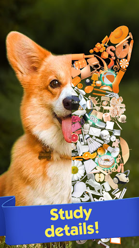 Tiny Things hidden object games