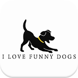 I love funny dogs icon