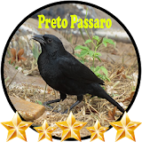 Canto de Preto Passaro icon