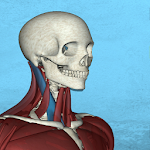 Cover Image of Download Corporis Anatomy | Interactive  APK