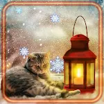 Cover Image of Download Winter Cozy Place HD  APK