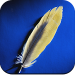 Cover Image of 下载 Feather wallpaper  APK