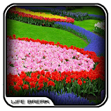 Flower Garden Photos Design icon